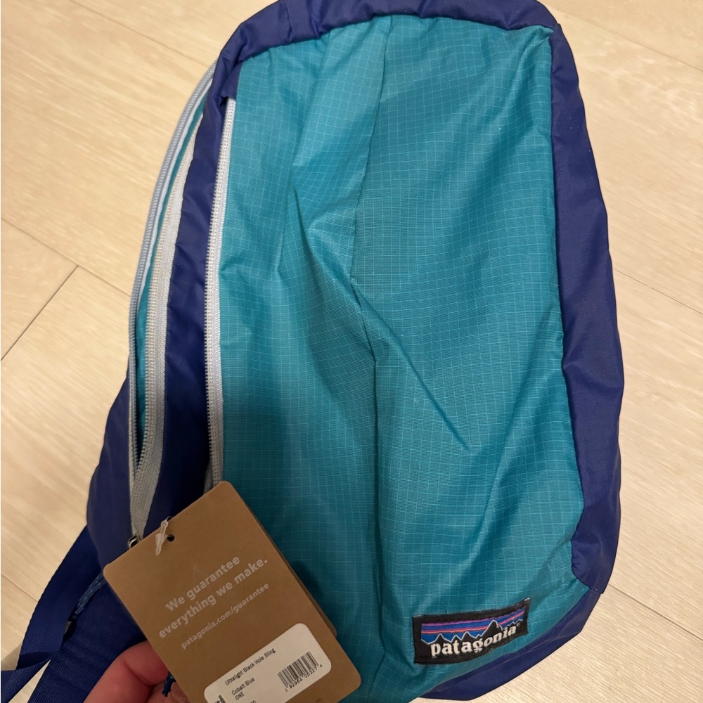 Patagonia Teal and Blue Backpack